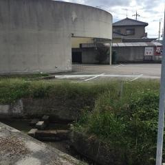夢しちりん
