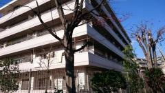品川区立大井林町高齢者住宅