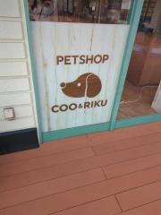 ペットショップＣｏｏ&ＲＩＫＵ　神戸東灘店