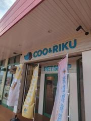 ペットショップＣｏｏ&ＲＩＫＵ　神戸東灘店