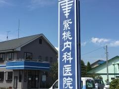 紫桃内科医院