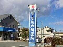 紫桃内科医院