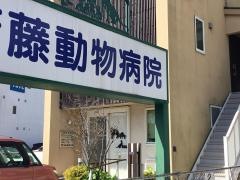 斉藤動物病院