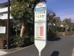 「コープタウン前」バス停留所