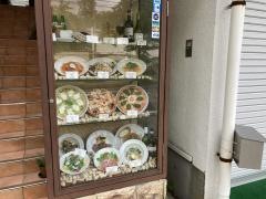 マイアミガーデン