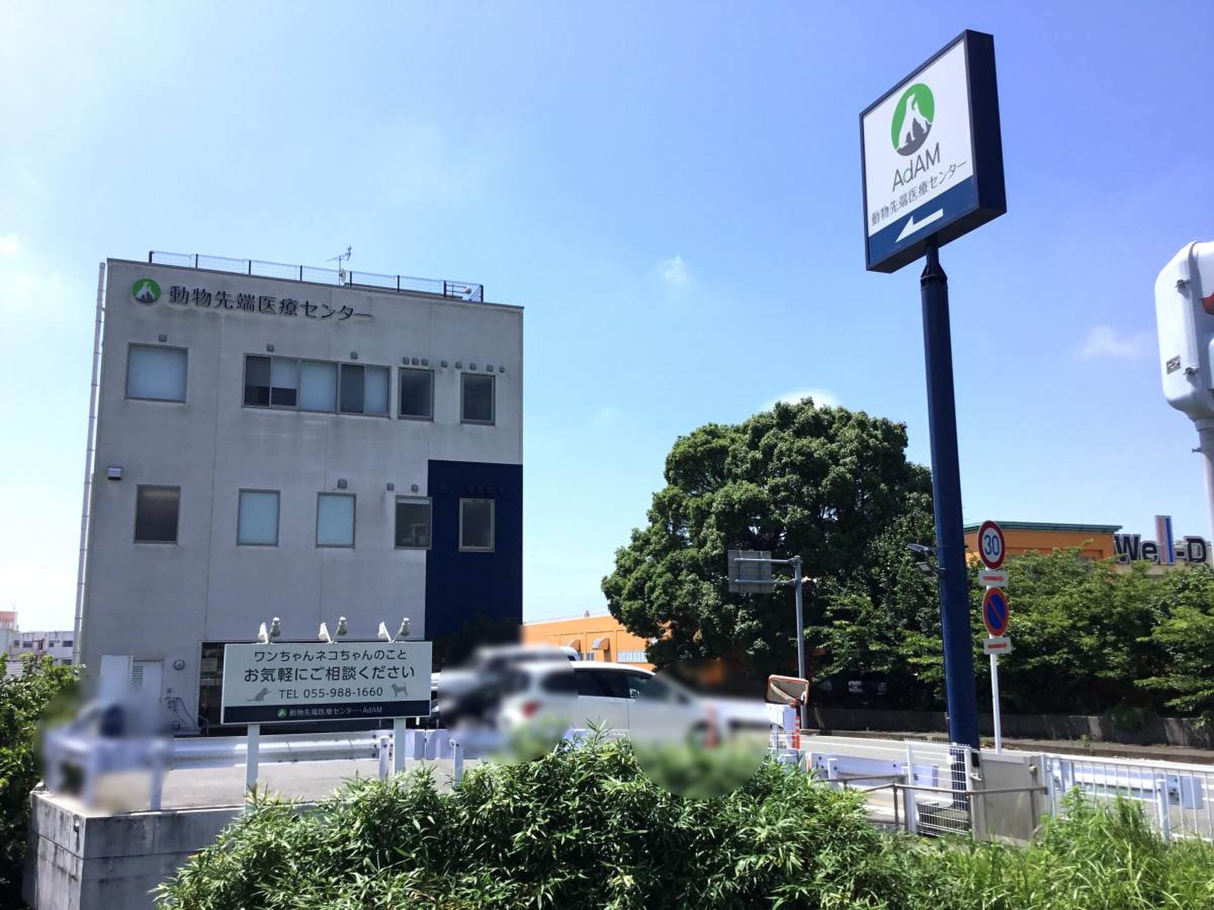 当時のメディア報道・掲載写真