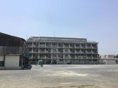 新羽小学校