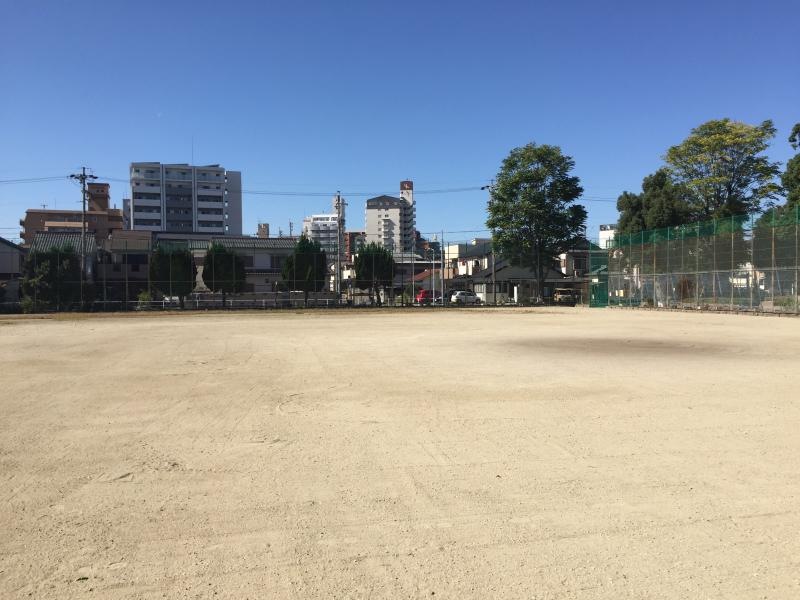 公園内の様子