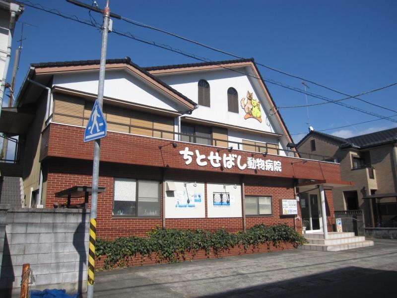 ちとせばし動物病院