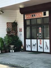 中原動物愛護病院