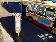 「須賀港」バス停留所