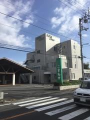 こすもす