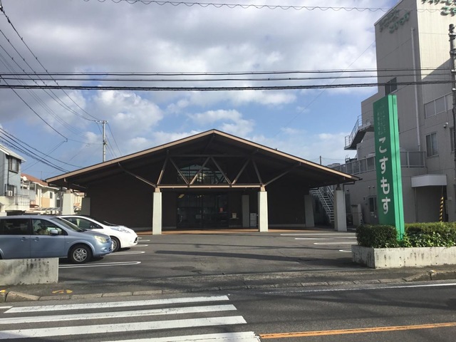 こすもす
