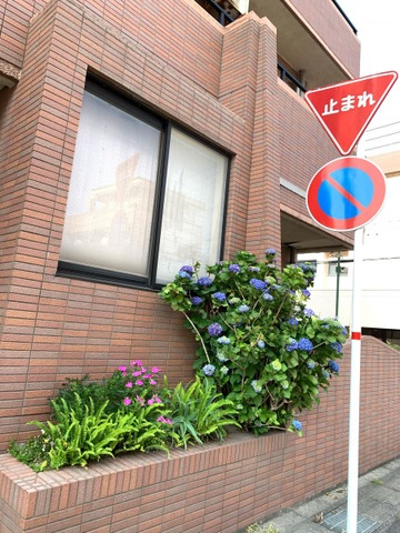 幸和 施設外観