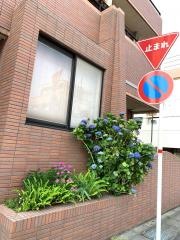 幸和