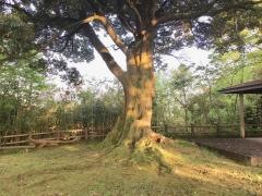 夕潮台公園