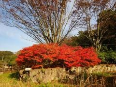 天王谷川公園