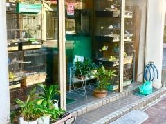 太田鳥獣店