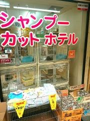 ペットスタイル阪神尼崎店