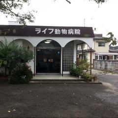 ライフ動物病院