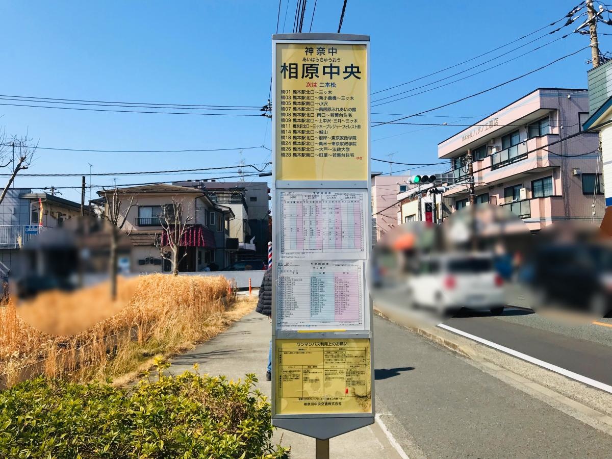 全体