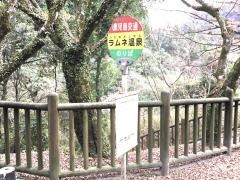 「ラムネ温泉」バス停留所