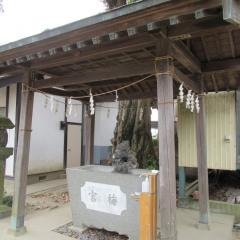 梅宮神社