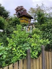 わかたけ鳩峯保育園