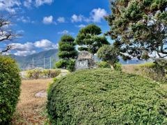 野木小学校