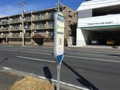 「荏田新道」バス停留所