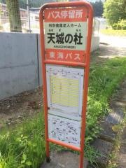 「特別養護老人ホーム　天城の杜」バス停留所