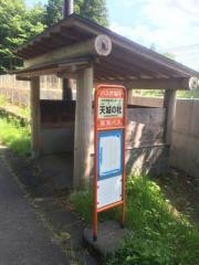 「特別養護老人ホーム　天城の杜」バス停留所