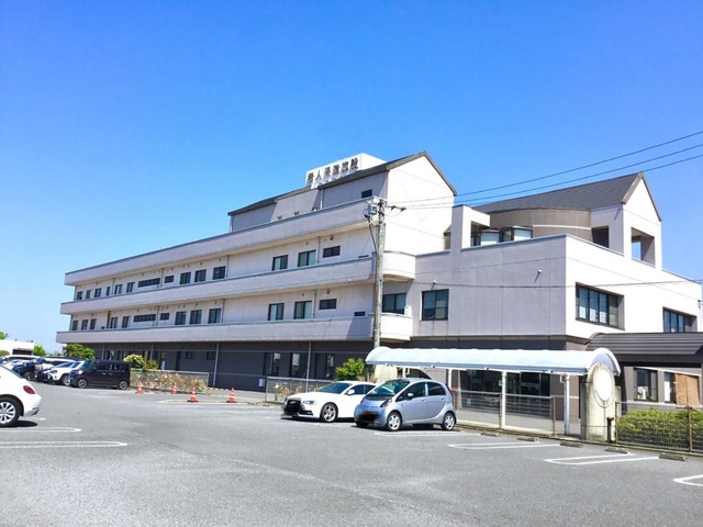 コスモス