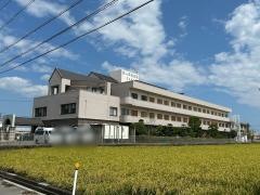 コスモス