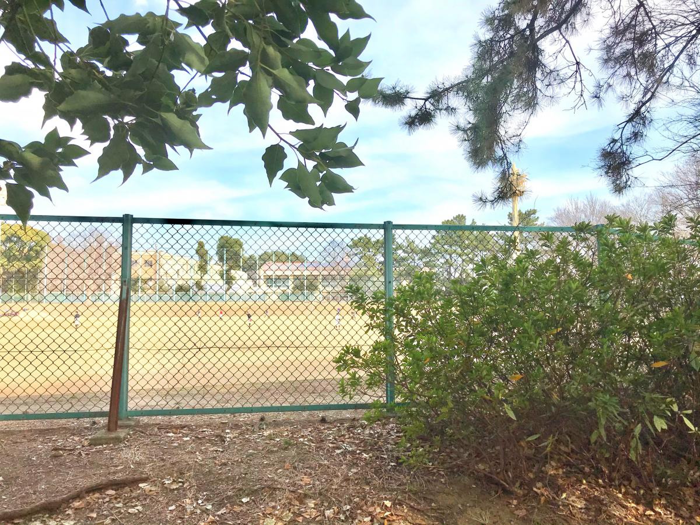 鶴舞 公園 野球 場