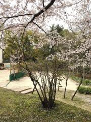 鶴舞公園野球場