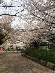 鶴舞公園野球場
