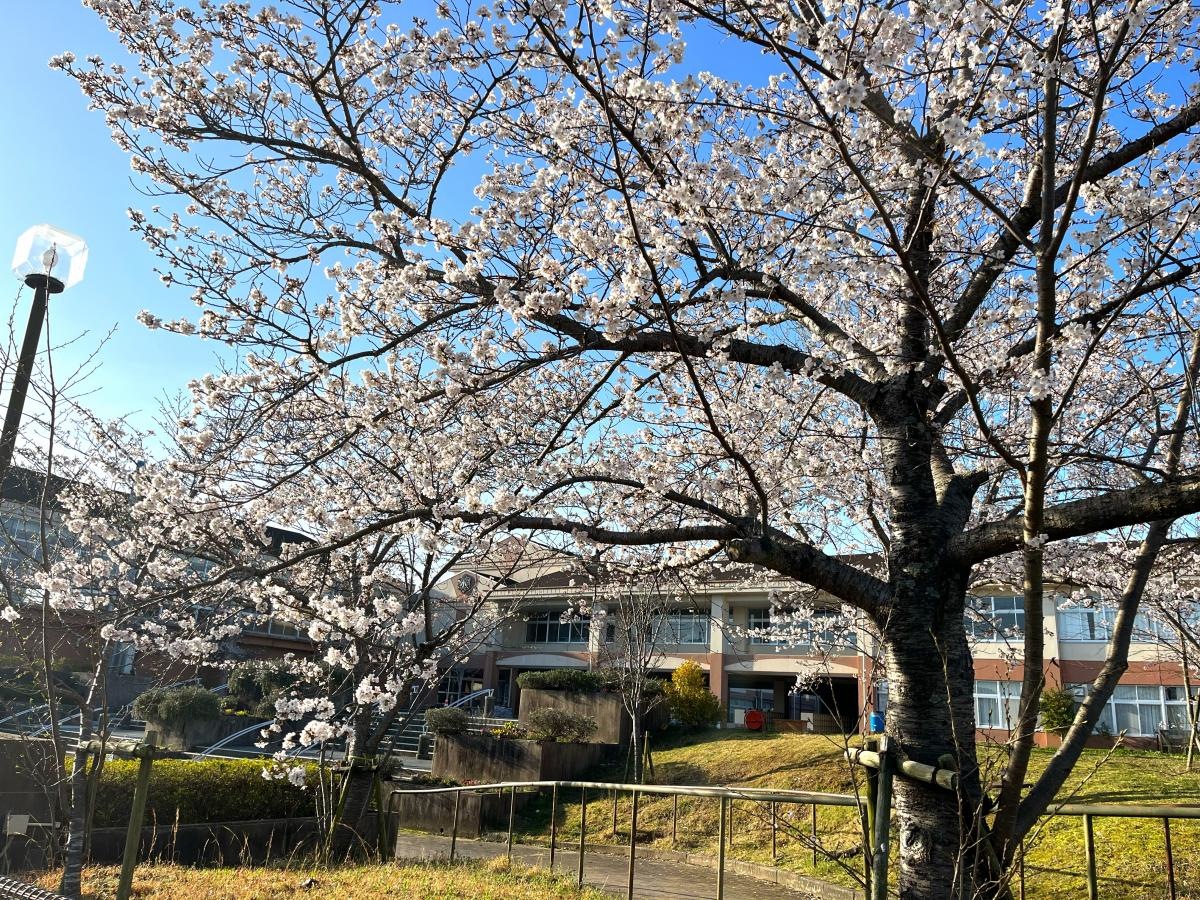 三田市立 ゆりのき台小学校