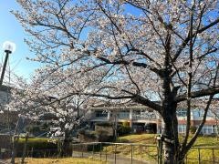 ゆりのき台小学校
