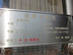 森歯科医院