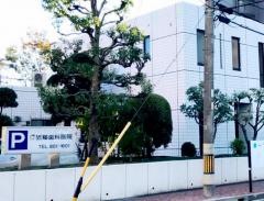 近藤歯科医院