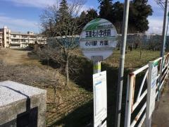 「玉里北小学校前」バス停留所