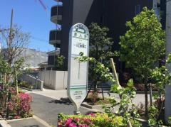 「舎人駅」バス停留所