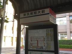 「東筑紫短大前」バス停留所