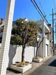 木村歯科