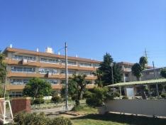 植竹小学校