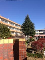 植竹小学校