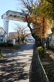 毛長緑道