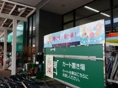 カインズ　駒ケ根店