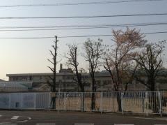 柳津小学校